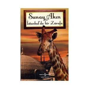Iş Kültür Istanbul Da Bir Zürafa
