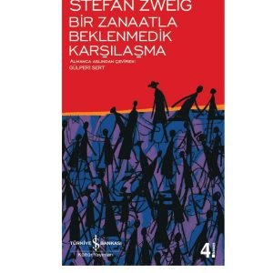 Iş Kültür Stefan Zweıg Bir Zanaatla Beklenmedik Karşılaşma (ciltli)