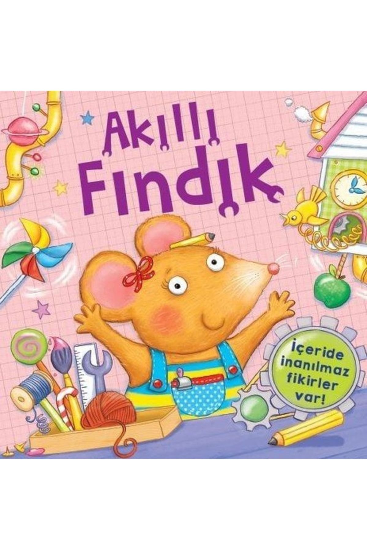 İş Kültür Yayınları Akıllı Fındık