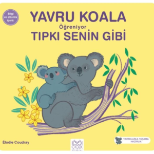Yavru Koala Öğreniyor Tıpkı Senin Gibi