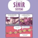 Temel Kavramlarla Sinir Sistemi