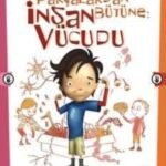 Parçalardan Bütüne: İnsan Vücudu
