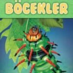 Böcekler