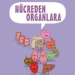 Bilimin Çizgi Romanı - Hücreden Organlara