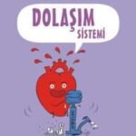 Bilimin Çizgi Romanı - Dolaşım Sistemi